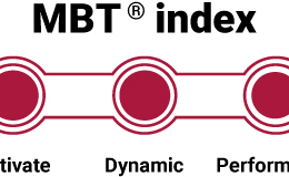 MBT Index - The Levels